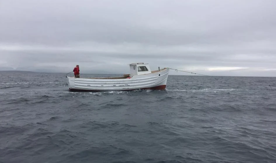 Dolphin Boat At Sea